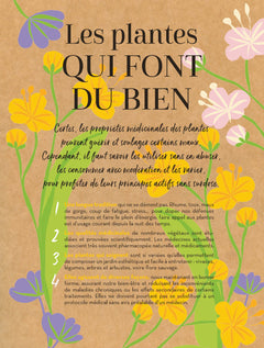 Un jardin santé - Aromates et plantes à tisanes