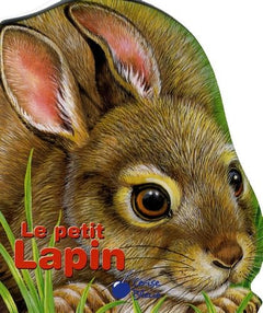 Le petit lapin