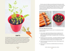 Des légumes qui poussent dans ma cuisine