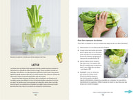 Des légumes qui poussent dans ma cuisine