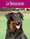 Le Beauceron