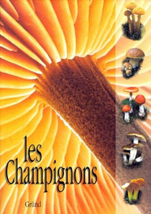Les champignons