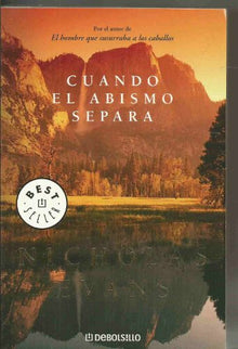 Cuando el abismo separa (BEST SELLER)