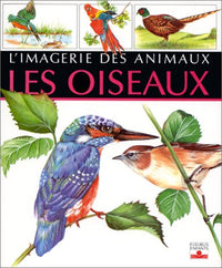 OISEAUX