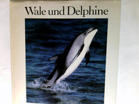 Wale und Delphine