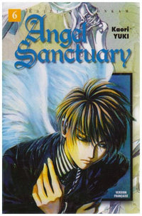 Angel Sanctuary. Tome 6