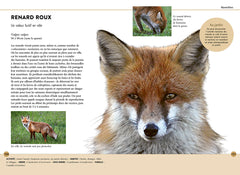 Reconnaître facilement les animaux du jardin