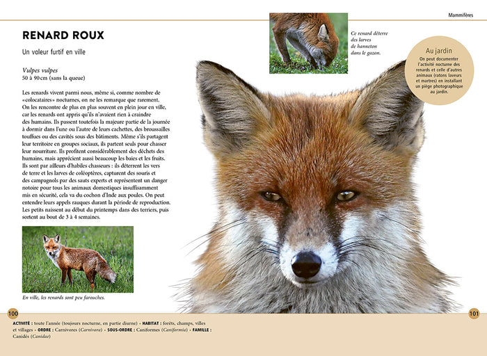 Reconnaître facilement les animaux du jardin