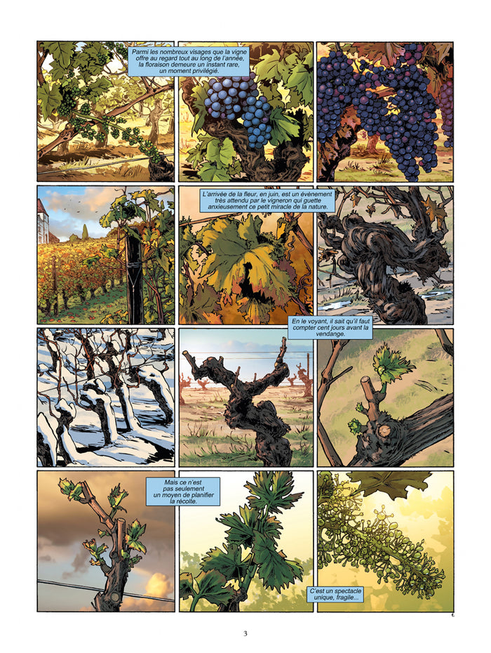 Châteaux Bordeaux - Passions au cœur du Médoc