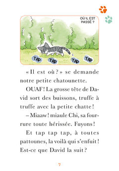 Chi - Poche - Tome 07: Un amour de Chi