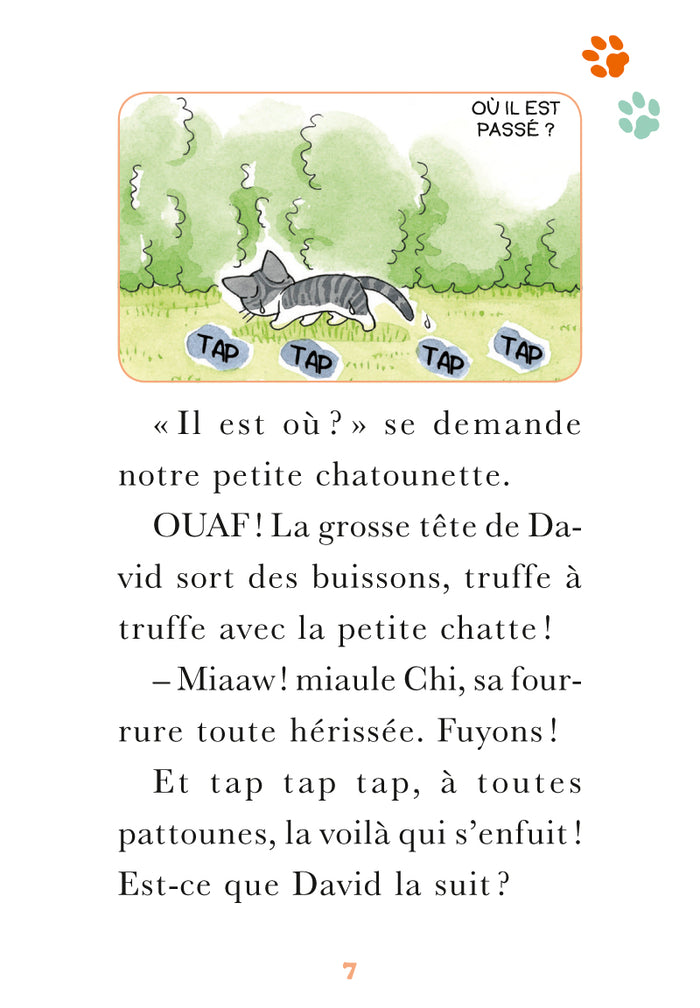 Chi - Poche - Tome 07: Un amour de Chi