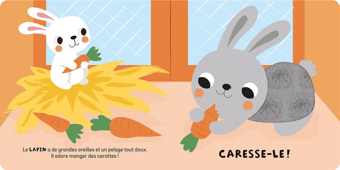 Coffret à toucher - Les animaux de la ferme