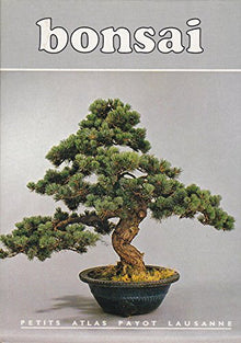Bonsaï 98-97