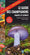 Guide des champignons