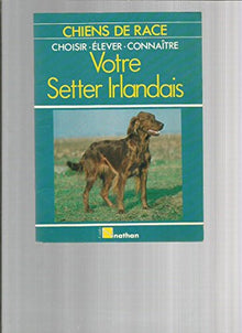 Le setter irlandais