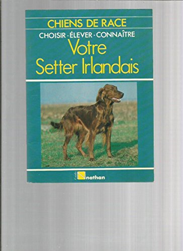 Le setter irlandais