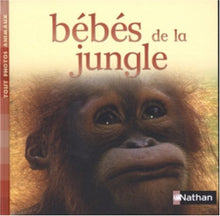 Bébés de la jungle