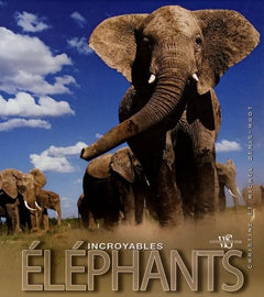 Incroyable éléphants