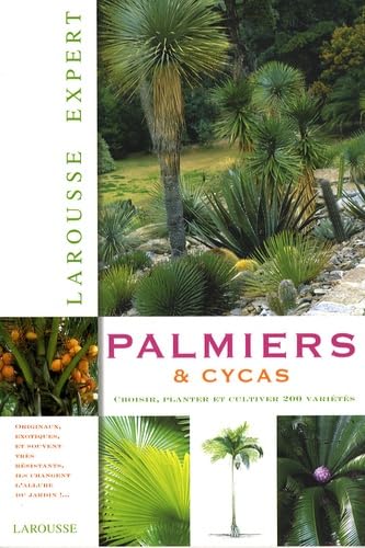 Palmiers et cycas