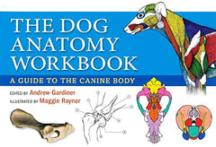Dog Anatomy: A Guide to the Canine Body