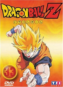 Dragon Ball Z, Vol. 33