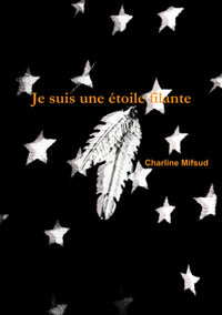 Je suis une étoile filante