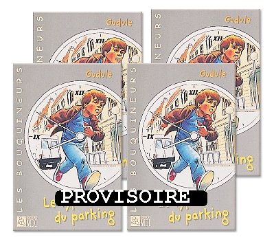 Pack 4 ex le type de parking