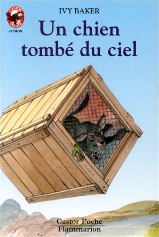 Chien tombe du ciel (Un)