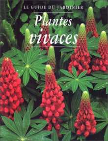 Plantes vivaces
