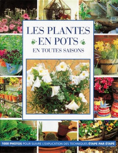 Les Plantes en pots en toutes saisons