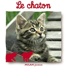 Le Chaton