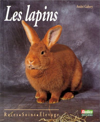 Les lapins