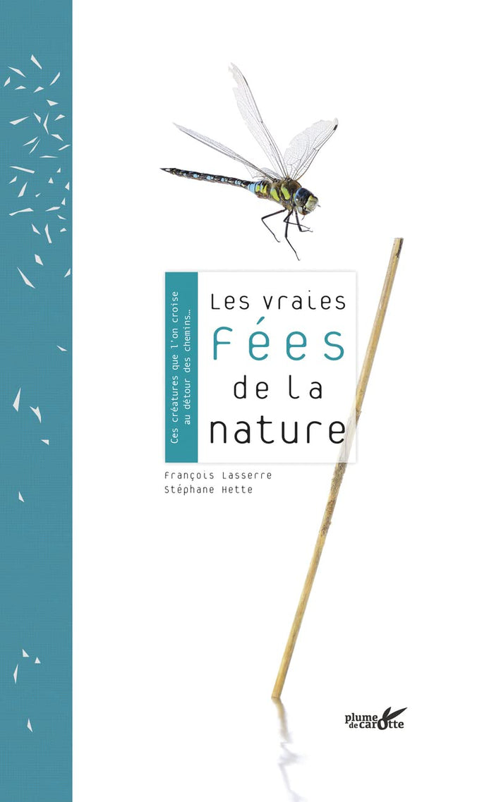 Les vraies fées de la nature