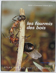 Les fourmis des bois