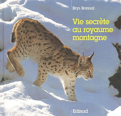 Vie Secrete Au Royaume Montagne