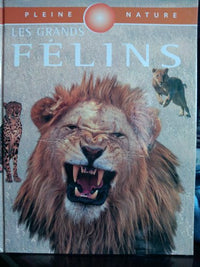 Les grands félins