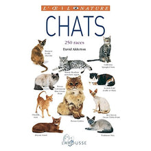 Chats - nouvelle présentation