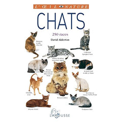 Chats - nouvelle présentation