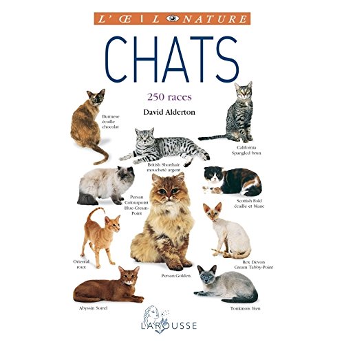 Chats - nouvelle présentation