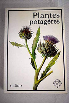 Plantes potagères
