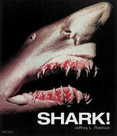 Shark!