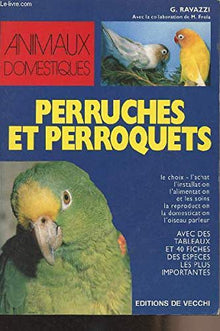 Perruches et perroquets
