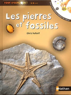 Pierres et fossiles