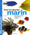 Aquarium marin