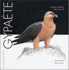 Gypaète
