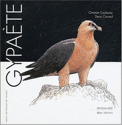 Gypaète
