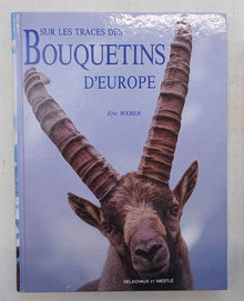 Sur les traces des bouquetins d'europe
