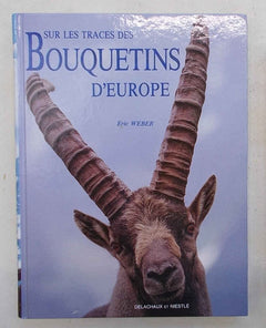 Sur les traces des bouquetins d'europe