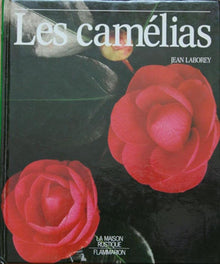 Camelias dessins de jean - claude roger (Les)