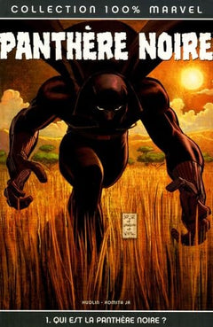 Qui est la panthère noire ?
